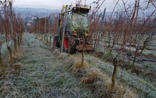 Vorschneider Weinberge Weingut Faber Freiburg