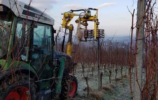 Reben vorschneiden Weingut Faber Freiburg