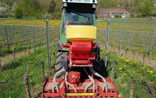 Natürliche Bodenbearbeitung Weingut Faber Freiburg