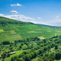 Weingut Faber Freiburg