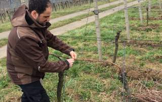 Sebastian Faber Weingut Faber Freiburg