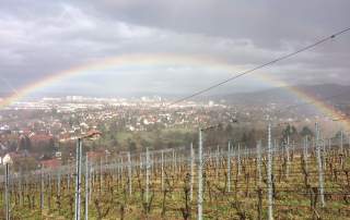 Regenbogen Weingut Faber Freiburg