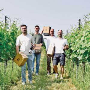 bild Weinpräsentation am Samstag 14.Juni im Weingut Bader, Wippertskirch 4 in FR-Opfingen