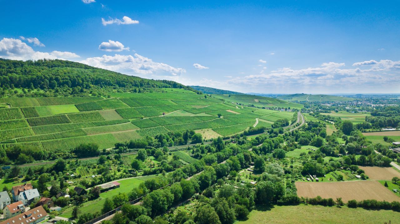 Schönberg Weingut Faber Freiburg