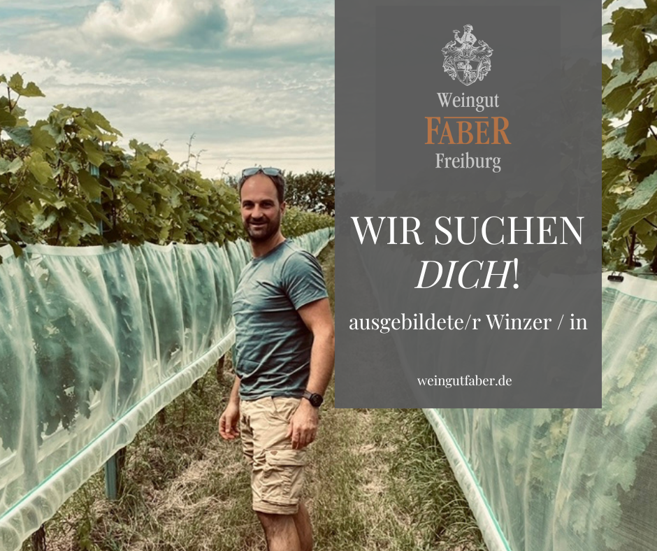 Stellenanzeige Winzer / Winzerin 2026